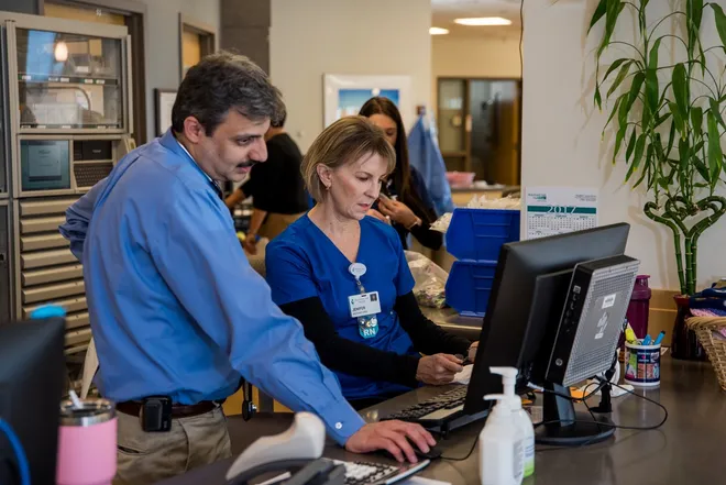 IT support in public health